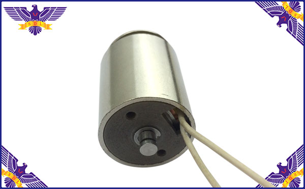 ���׮�����